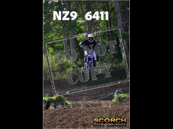 Experts-243