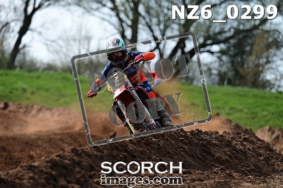 NZ6_0299