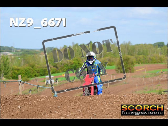 IntersGreen-226