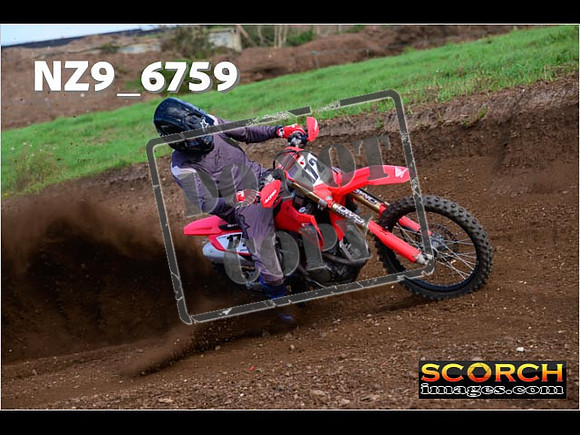 Experts-258