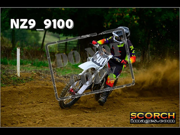 Experts-142