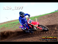 Experts-018