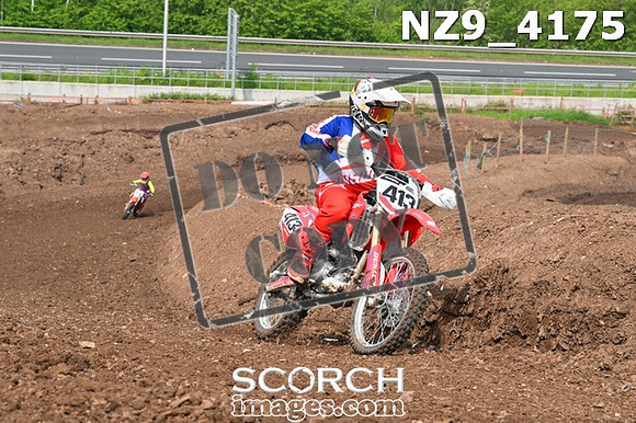 NZ9_4175