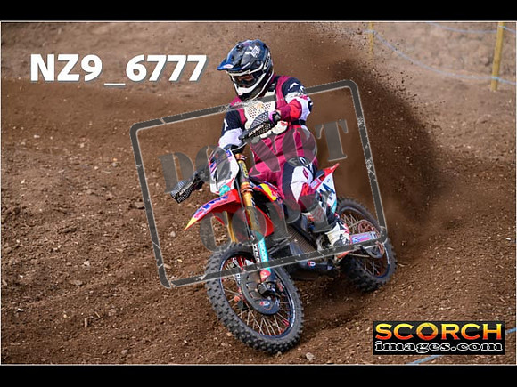 Experts-274