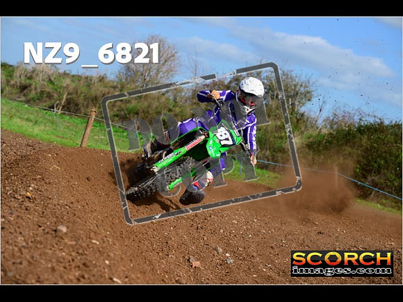 Experts-316
