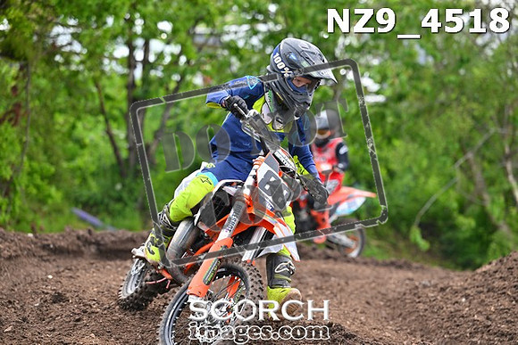 NZ9_4518