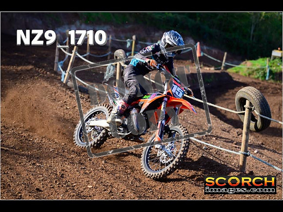 Experts-141