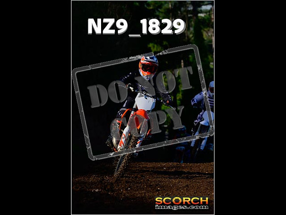 Inters-203