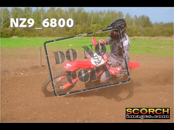 Experts-296