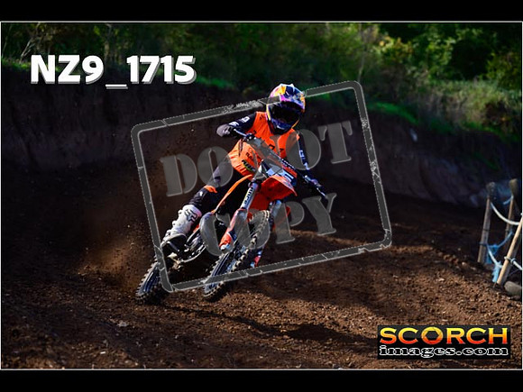 Experts-146
