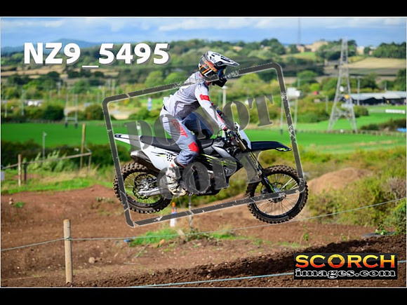 Experts-054