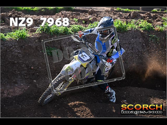 InterGreen-024
