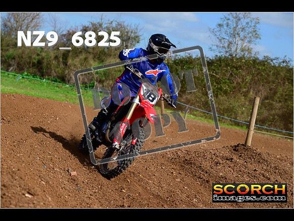 Experts-320