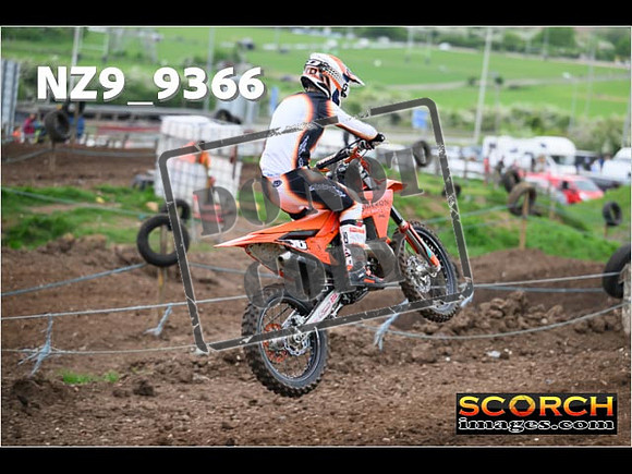 Experts-084