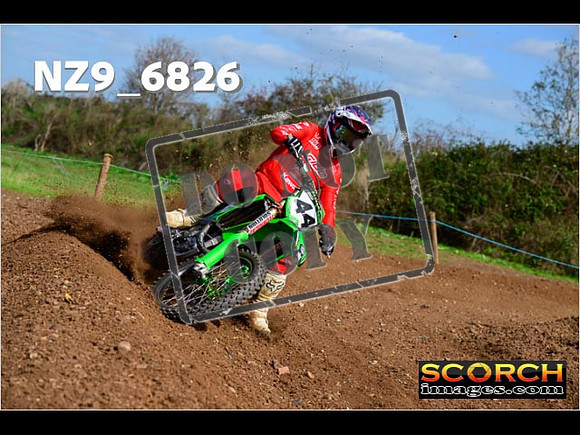 Experts-321