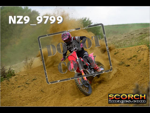Experts-221