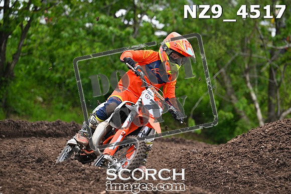 NZ9_4517