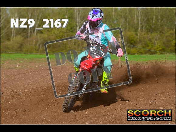 Experts-296