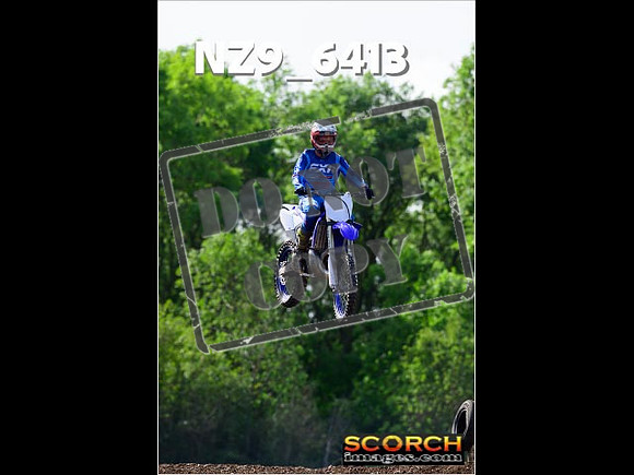 Experts-245