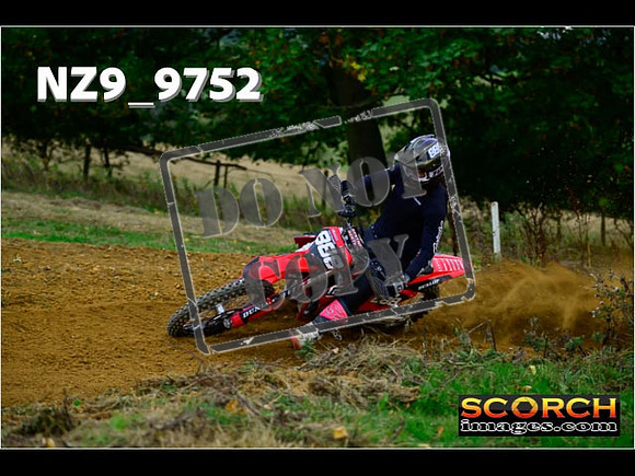 Experts-175