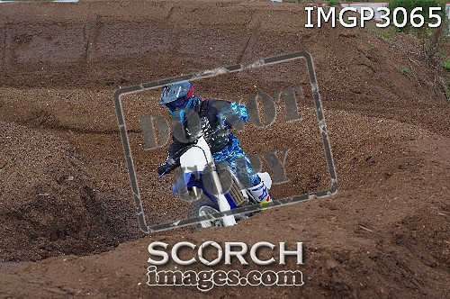 IMGP3065