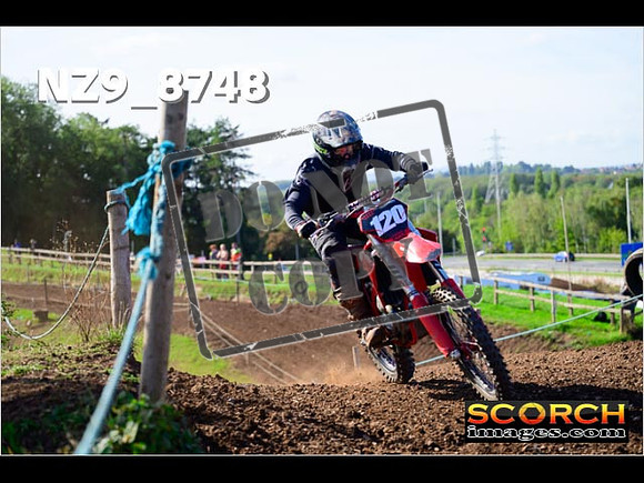Experts-249