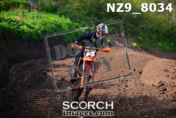 NZ9_8034