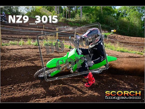 Experts-209