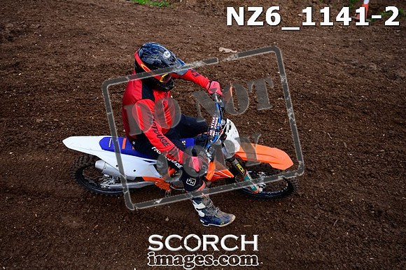NZ6_1141-2