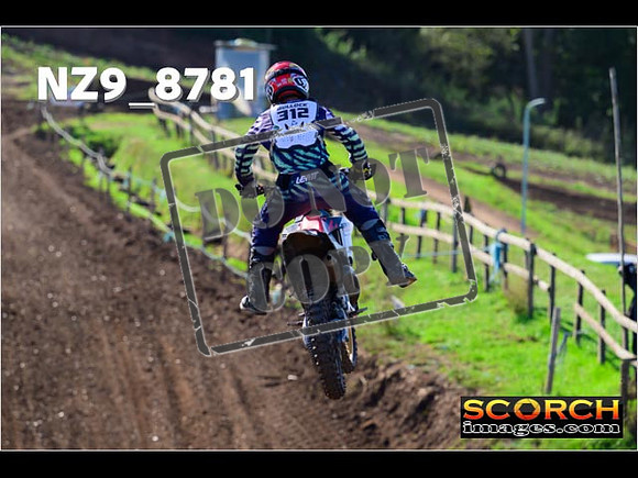 Experts-282