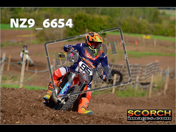 IntersGreen-209