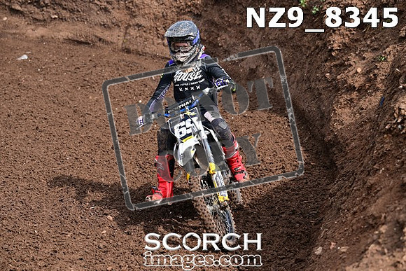 NZ9_8345