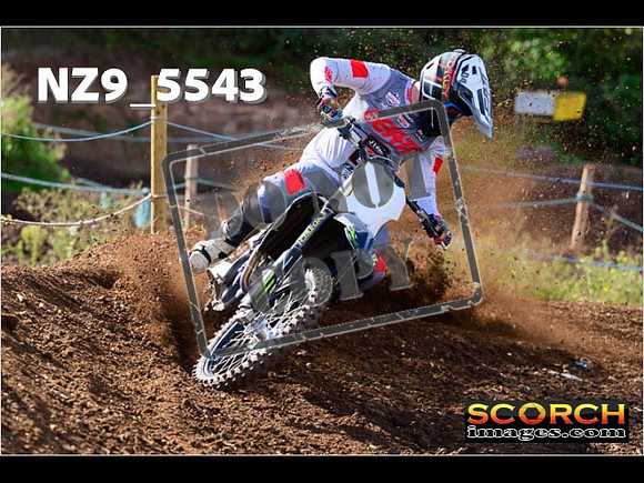 Experts-097