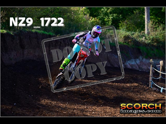 Experts-151