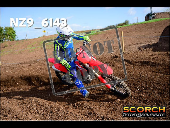 IntersGreen-067