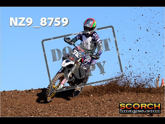 Experts-260