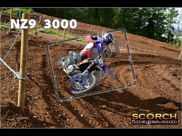 Experts-194
