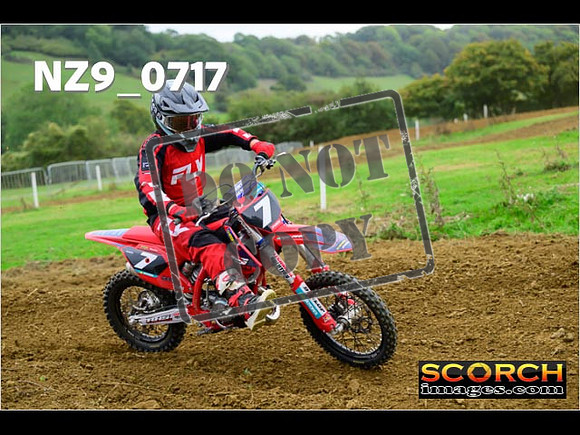 85's-230