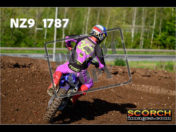 Experts-213
