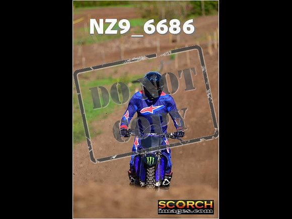 IntersGreen-240