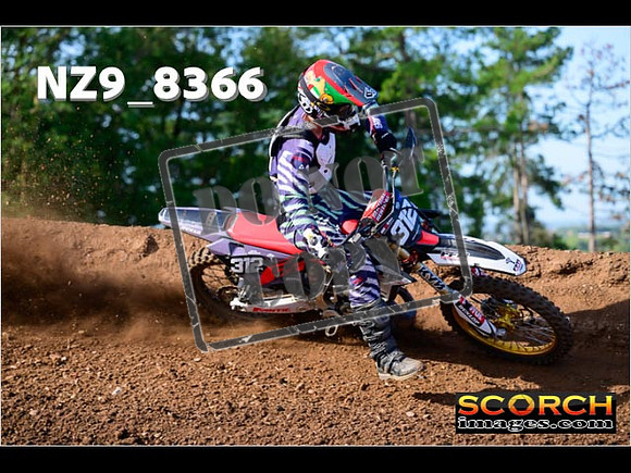 Experts-131