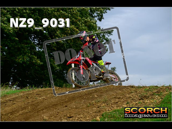Experts-076
