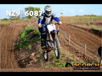 IntersGreen-012