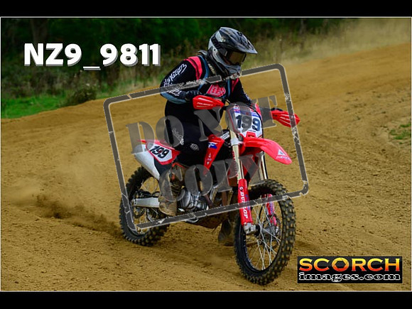 Experts-231