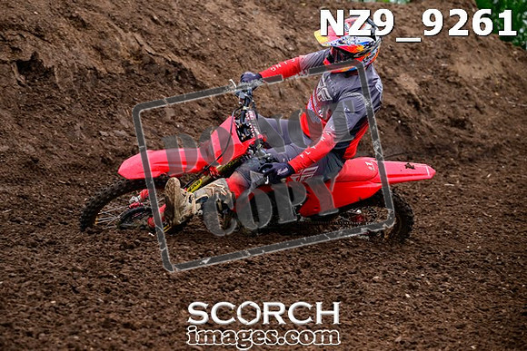 NZ9_9261