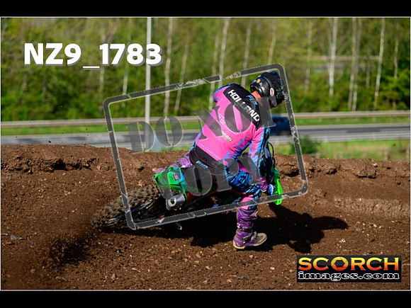 Experts-209
