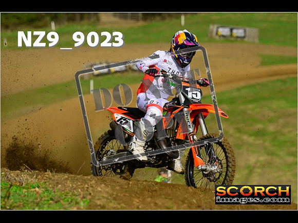 Experts-068