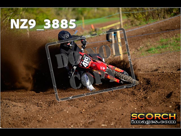 Experts-031