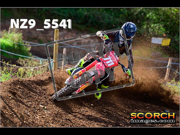 Experts-095