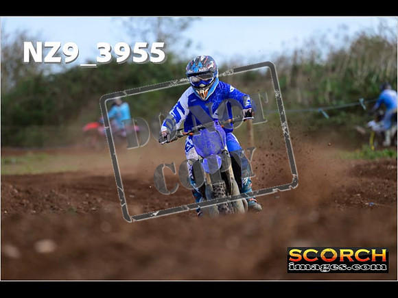Experts-099